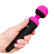 PalmPower Recharge Wand Massager 