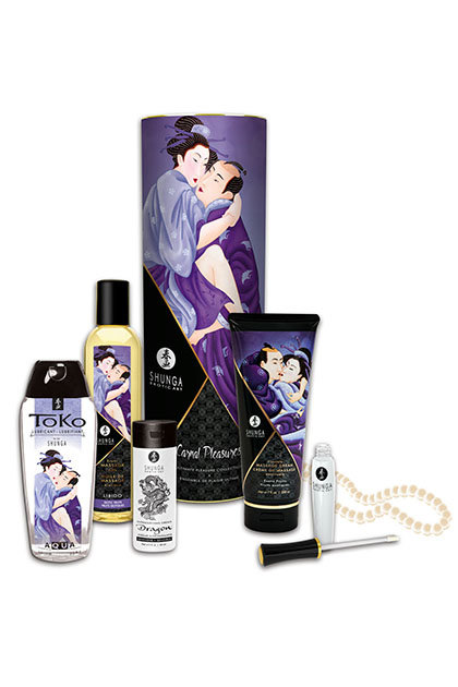 Shunga Carnal Pleasure Set