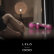 Lelo Soraya Black Rabbit Vibrator 